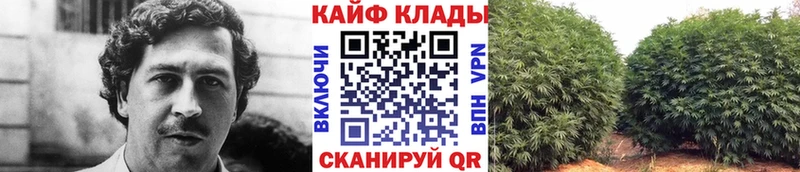 Где купить Тайшет Alpha-PVP  Cocaine  Меф  hydra вход  ГАШ 