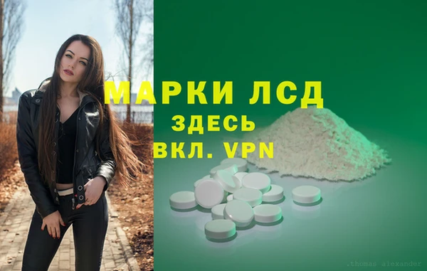 гашик Алексин