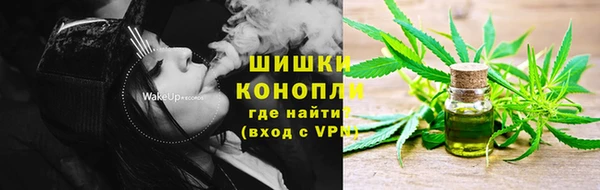 молекула духа Алзамай