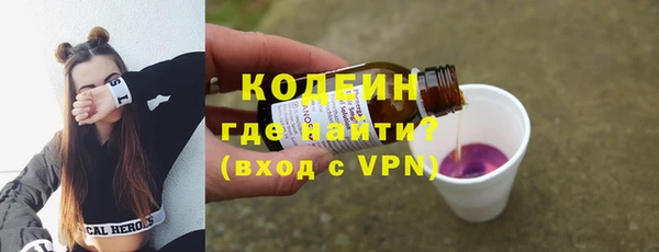 гашик Алексин
