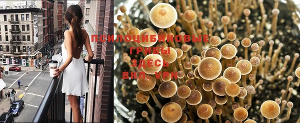 молекула духа Алзамай