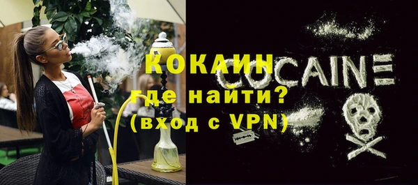 гашик Алексин