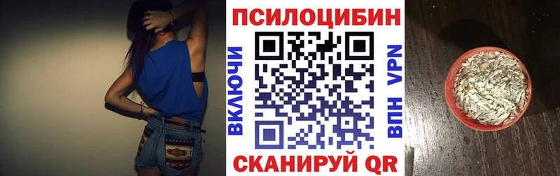 Псилоцибиновые грибы мицелий Тайшет
