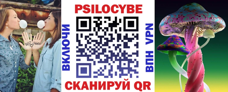 Псилоцибиновые грибы Psilocybe  Тайшет 