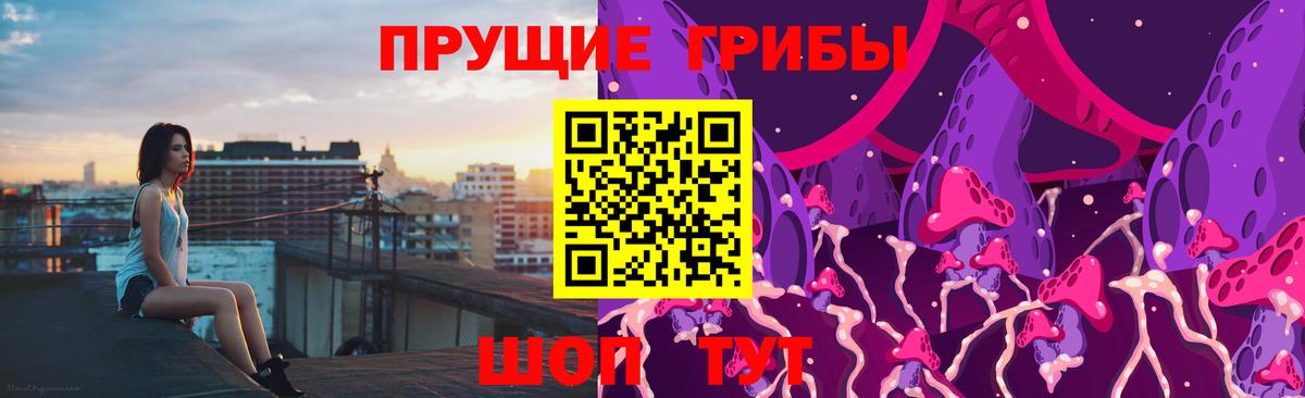 Тайшет  Псилоцибиновые грибы прущие грибы  Псилоцибиновые грибы мицелий  Вход с VPN 